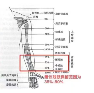 WPS圖片(3).png